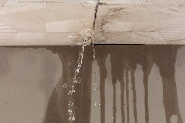 Professional Structural Drying technician working in Panhandle, TX